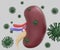 Human kidney organ infected by virus