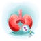 Human kidney pyelonephritis anatomy. Internal organ concept.