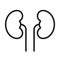 Human kidneys icon, isolated on white background. Vector, lined style symbol.