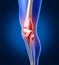 Human Knee Pain