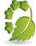 Human leaf logo