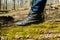 Human leg stand walk mossy tree trunk forest park