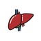 Human liver doodle icon, vector illustration