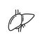 Human liver doodle icon, vector illustration