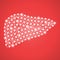 Human Liver Isolated On A Red Background. Vector Illustration.