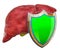 Human liver with shield, liver protect concept. 3D rendering