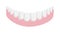 Human lower jaw gum with straight healthy teeth
