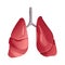 Human Lung anatomy icon. Internal organs of the human design element, logo. Medicine concept. Healthcare. Isolated on