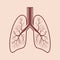 Human lung anatomy. Respiratory system graphics. Vector.