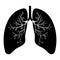 Human lung anatomy. Respiratory tract disease. Respiratory systems