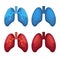 Human Lung Icons Set