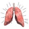 Human lungs with acupuncture needles. Acupuncture treatment of lungs concept, 3D rendering