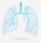 Human lungs anatomy for asthma, tuberculosis, pneumonia. Lung ca