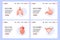 Human lungs, bladder, heart, stomach. Diagnostics of diseases of internal organs