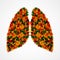 Human lungs with colorful maple leaves