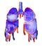 Human lungs with double exposure glitch effect