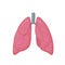 Human lungs flat style vector colorful illustration. Internal organ icon, logo. Anatomy, medicine concept. Healthcare