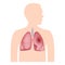 Human lungs icon, realistic style