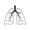 Human lungs icon. Simple linear image. Isolated vector on a white background.