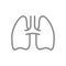 Human lungs line icon. Healthy internal organ symbol