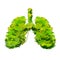 Human lungs made up by bright green lushy bushes, creative ecology concept on white