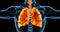 Human lungs medical illustration showing infected lungs in bright orange.