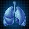 Human lungs organ as a medical symbol