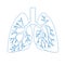 Human lungs, outline icon. Respiratory system. Vector illustration