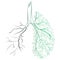 Human lungs. respiratory system. Healthy lungs. Light in the form of a tree. Line art. Drawing by hand. Medicine.