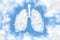 Human lungs shaped as a cloud on blue sky background. Cloudy in the shape of lungs. The bright sky is our lungs. World Pneumonia