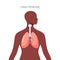 Human lungs vector icon in simple flat style