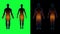 Human male female body scan. Green screen 4k footage