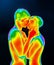 Human male and female loving couple kissing chemistry. Body thermic activity 3d rendering illustration. Infrared or thermal effect