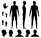 Human man body silhouette