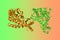 Human mitochondrial malonyltransferase. Ribbons diagram with differently colored protein chains. 3d illustration