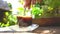 Human mix a coffee in cup on wood table in the garden view.