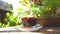 Human mix a coffee in cup on wood table in the garden view.