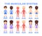 Human Muscular System. Front and Back View in a Flat Cartoon style for Children. Isolated Boy and Girl. The Silhouette of a Kids