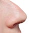 Human nose