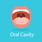 Human oral cavity. Opened mouth. Idea of dental