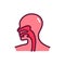 Human organ esophagus line icon. Isolated vector element.