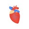 Human organ flat icon, human heart, anatomy, arteries and veins