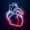 Human organ heart and tissues