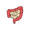 Human organ intestines color line icon. Pictogram for web page, mobile app