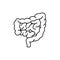 Human organ intestines color line icon. Pictogram for web page, mobile app
