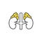 Human organs adrenal glands color line icon. Pictogram for web page, mobile app