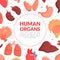 Human Organs Banner Template, Medical Science Innovation for Health Care, Transplantation, Bioengineering Technologies