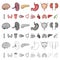 Human organs cartoon icons in set collection for design. Anatomy and internal organs vector symbol stock web