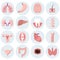 Human organs flat icons vector set