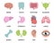 Human organs icons with descriptions. Brain, tooth, ear, intestines, stomach, nose, liver, bladder, heart, bone, hand